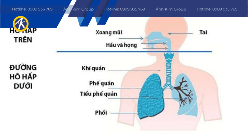 Dầu cắt gọt ảnh hưởng đến hệ hô hấp